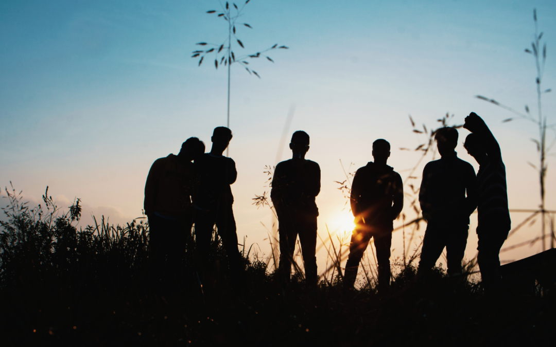 Andere homo-organisaties