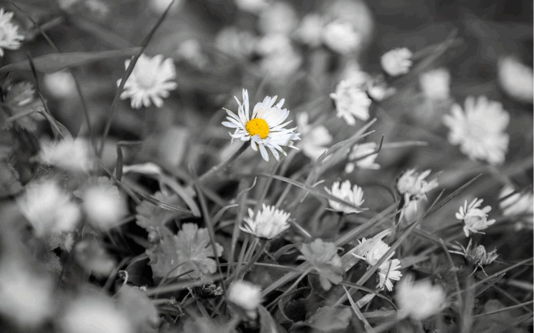 Lhbt’ers en suïcidaal gedrag